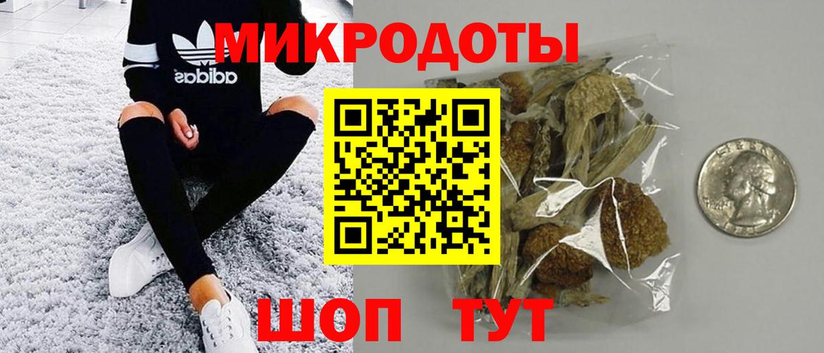 Псилоцибиновые грибы прущие грибы Кропоткин